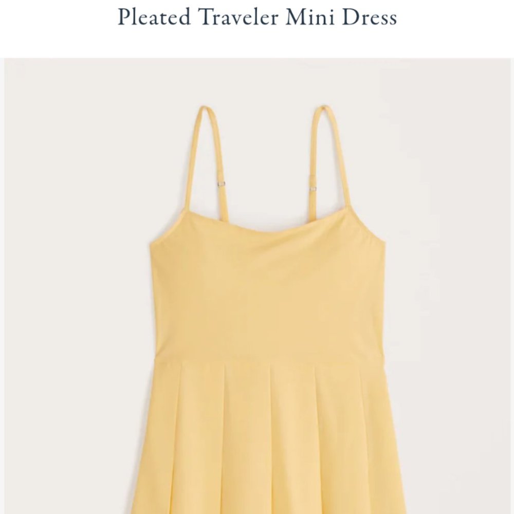 Abercrombie and Fitch Pleated Traveler Mini Dress
